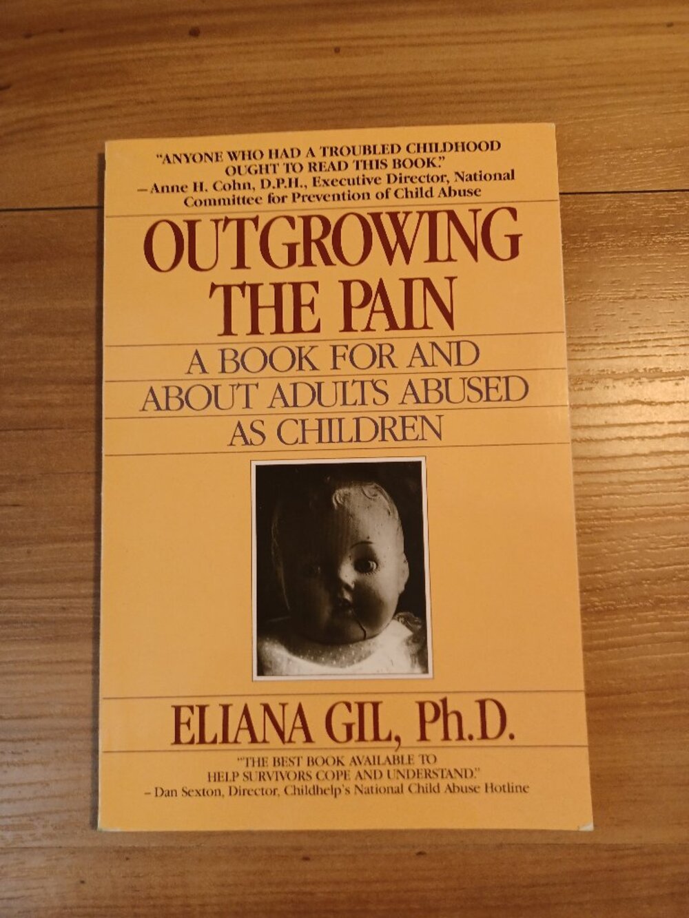 Outgrowing The Pain: A Book For And About A bused As Children Book